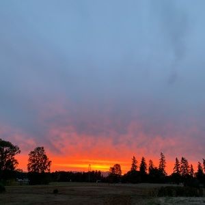 Meet your Posher, Nanci